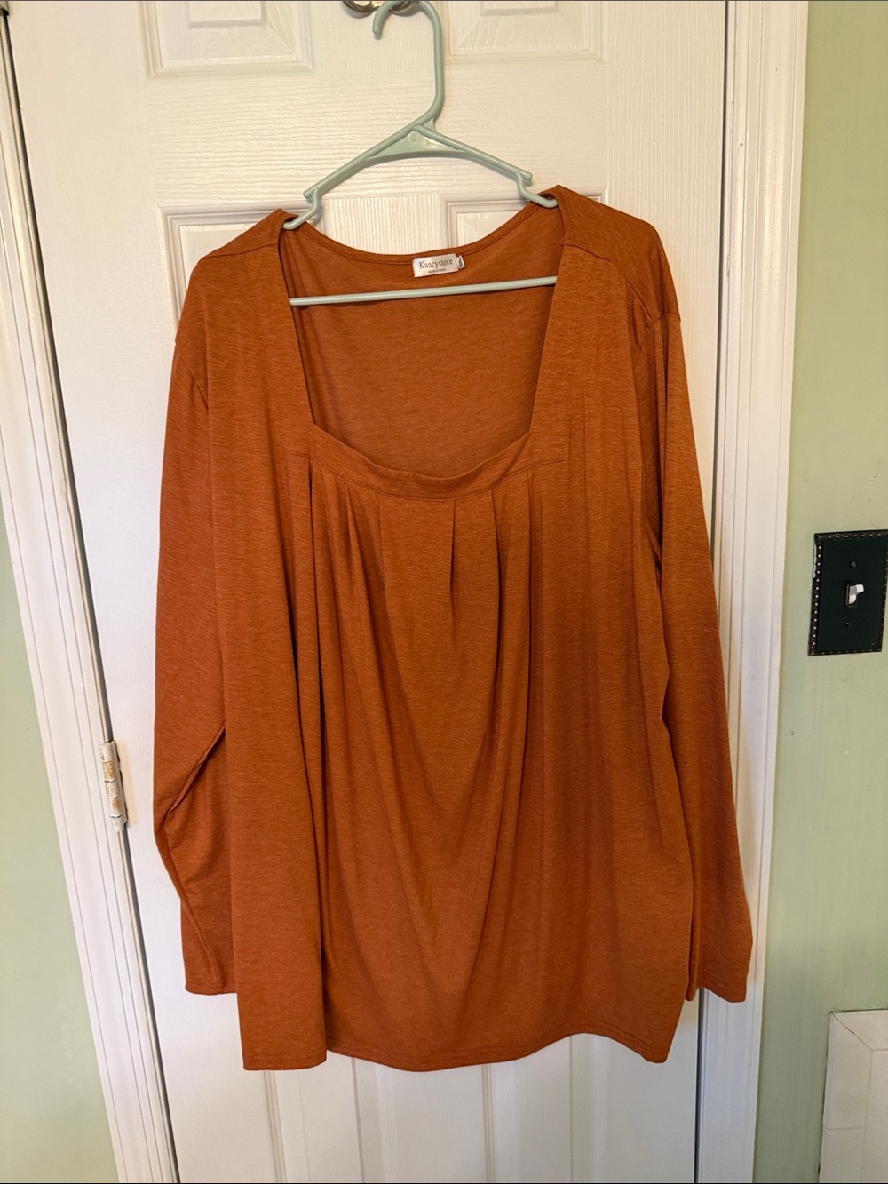 Kensie Women's Rust Scoop Neck Long Sleeve Top with Front Pleats 4x
